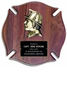 Public Service Award