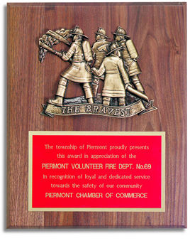 Public Service Award